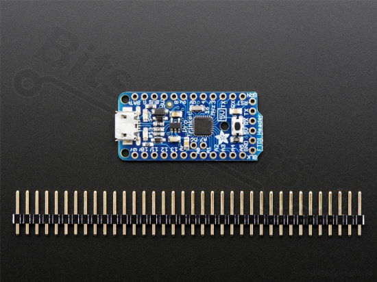 Adafruit Pro Trinket - Mini Microcontroller 5V 16Mhz - Adafruit 2000